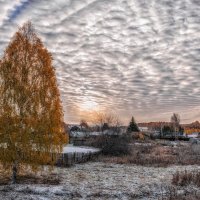 Первый снег. :: Ольга Соколова