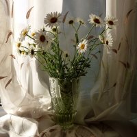 Букет ромашек в вазе на окне... :: Лидия Бараблина