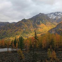 Проблеск солнца :: Владимир Собардахов