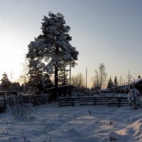 Шёл ночью снег густой и белый. :: Галина Полина