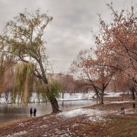 На Воронежском озере осень :: Виктор Замулин