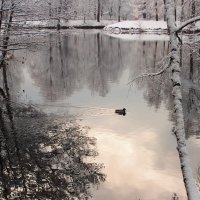 Зеркальный пруд :: Людмила Самойлова