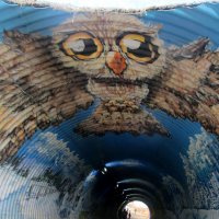 Роза Хутор... граффити в переходном тоннеле :: Нина Бутко