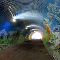 Роза Хутор... граффити в переходном тоннеле :: Нина Бутко