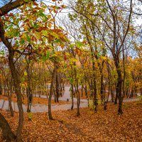 Осенний парк :: ganzikov 