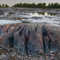 Белое море. :: Наталия Владимирова