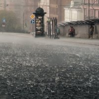 Июльский дождь :: Валерий Иванович