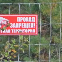 Вот  так  теперь встречает часто  лес на  Тамбовщине ! :: Виталий Селиванов 