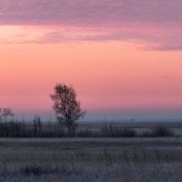 *** :: Володька Завитушкин