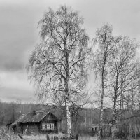 Русский север. :: Сергей Дружаев