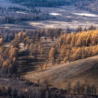 *** :: Анатолий Соляненко