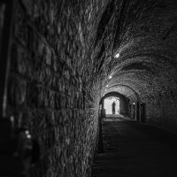 В тоннелях Кёнингсберга... :: Светлана Карнаух