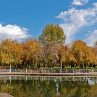 Осень в Ташкентском экопарке :: Светлана 