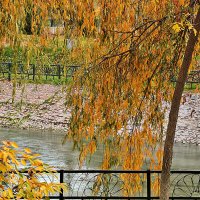 Осень в Ташкентском экопарке :: Светлана 