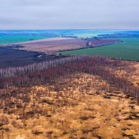 Сшила осень лоскутное одеяло :: Сергей 