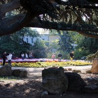 Никитский ботанический сад :: Татьяна Пальчикова