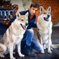 Фотосессия с волками :: Akkelo _p_