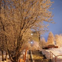 По дороге домой.... :: Анна Приходько