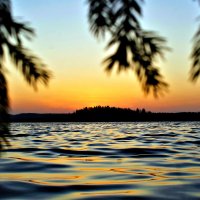 Багряный  рассвет на  озере Сапшо.14.11.19 г. :: Ольга Митрофанова