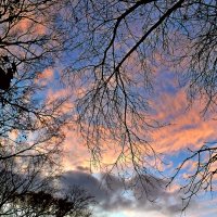 Закатное небо ноября над парком... :: Лидия Бараблина