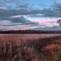 "Розовая осень" :: Лара Симонова 