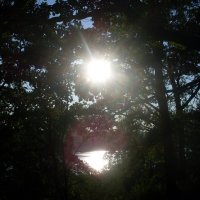 Солнечная восьмёрка как знак бесконечности :: Марина 