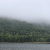 Летний туман над Волжскими берегами :: Elena 