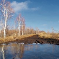 Предзимние мотивы.. :: Андрей Заломленков