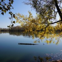 Золотая Ветвь :: Наталия Григорьева