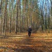 Скандинавская ходьба - ты навек моя судьба! По лесу с палками хожу, своим здоровьем дорожу! :: Андрей Заломленков
