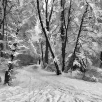 По мокрому снегу :: Alexander Andronik