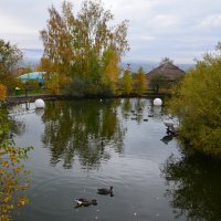 Осенний пруд в зоопарке :: Татьяна Соловьева