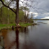 бобровый задел :: Валентина. .