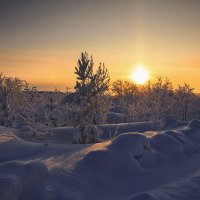 Мороз и солнце... :: Владимир Чикота 