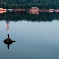 Памятник редкой птице долетевшей до средины Днепра :: Олег 