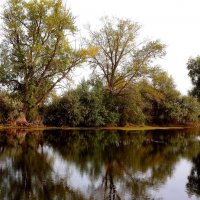 Загляделся сентябрь на свое отражение в реке... :: Лидия Бараблина