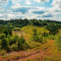 В Карпатах. :: Юрий Гординский