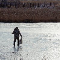 "Понесло" Остапа (ой, пардон, рыбака) по льду... :: Зинаида Каширина