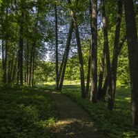 в тени весеннего парка :: Петр Беляков