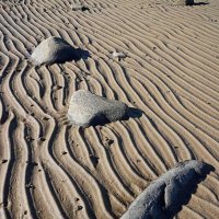 Следы на песке :: Сергей Курников