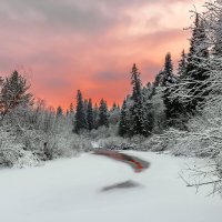 У таежной реки :: Сергей Добрыднев