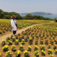 Остров Nokonoshima Island Park Япония :: wea *