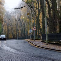 Ноябрь в городе... :: Любовь С.