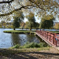 Осень в парке :: Надежда Буранова 