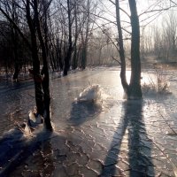 Конец ноября :: Александр Алексеев