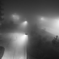 Ночь, улица, туман :: Светлана Карнаух