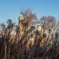 Осенние травы :: Сергей Цветков