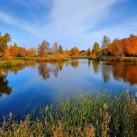 Осеннее озеро :: Mikhail Irtyshskiy