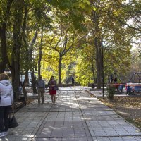 Свет в конце аллеи :: Валентин Семчишин