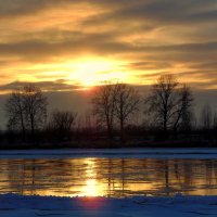 Поздней осени закат. :: nadyasilyuk Вознюк